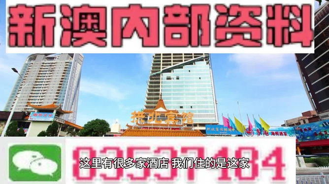 2025新澳正版资料精准解析，2025新澳正版资料精准解析手册