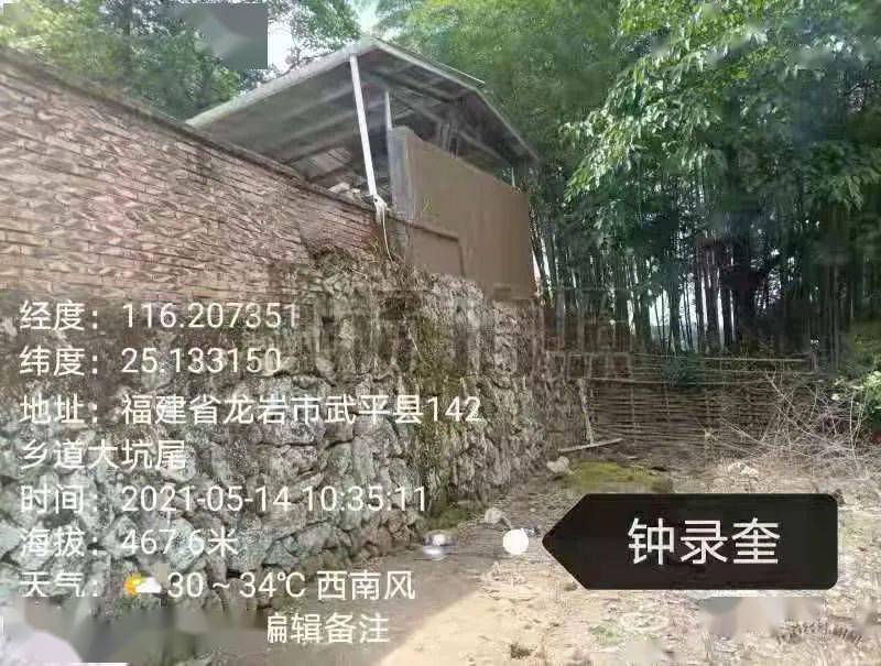 揭秘王中王一字拆一肖横财的秘密，揭秘王中王一字拆一肖横财的神秘面纱