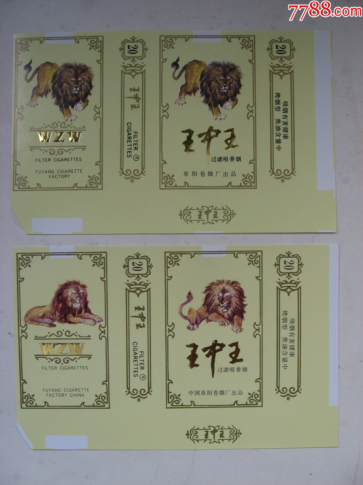 王中王01正版平特一肖，深度解析与探索，王中王01正版平特一肖，深度剖析与探索之旅