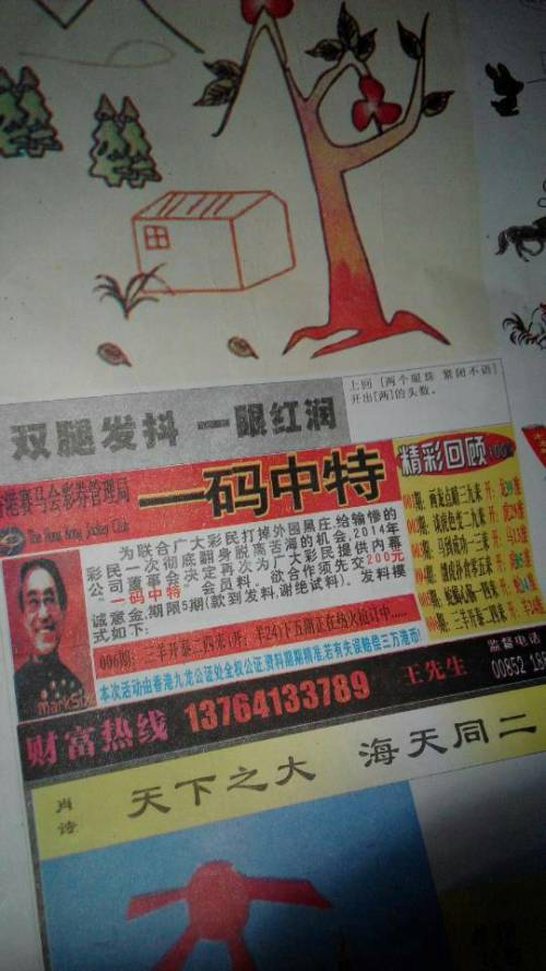 王中王欲钱诗猜一肖，揭秘背后的奥秘与文化内涵（grti），揭秘王中王欲钱诗背后的奥秘与生肖文化内涵（grti）