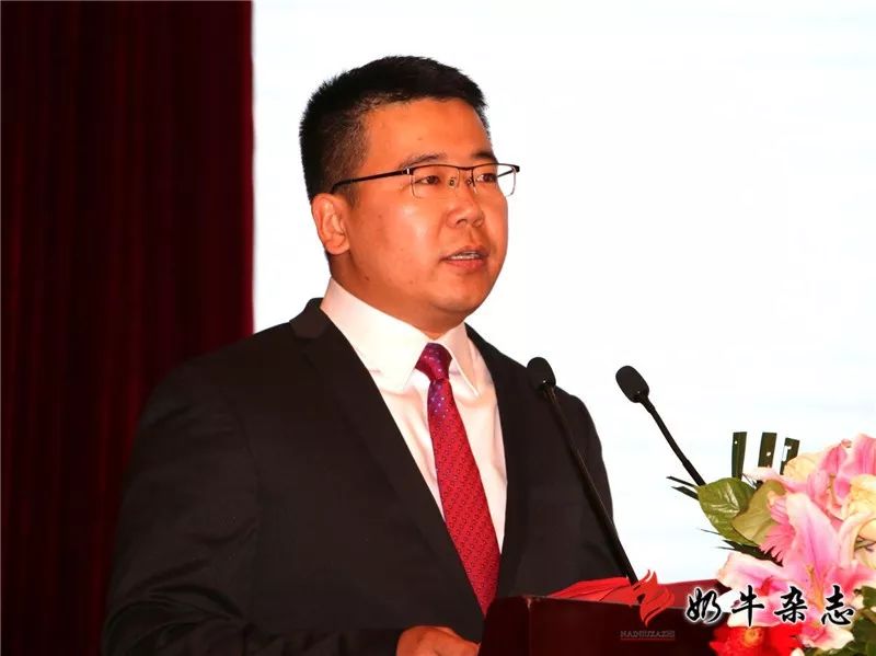 王中王一平特肖，揭秘第100期的秘密与策略，揭秘第100期秘密与策略，王中王一平特肖独家解析