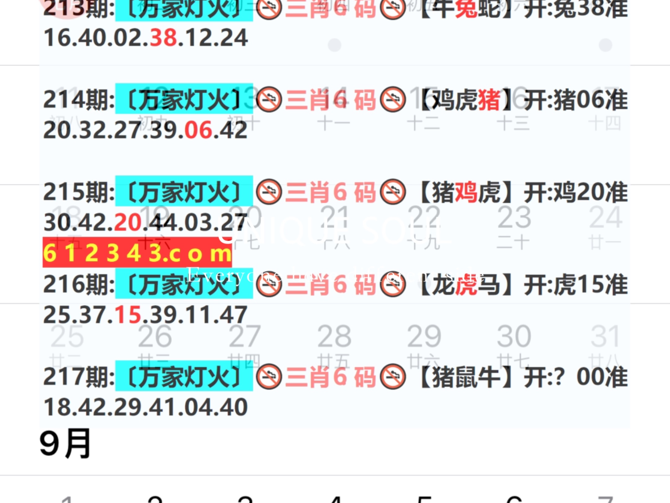 新澳门一肖一码内资料详解与探索，澳门一肖一码内部资料详解揭秘