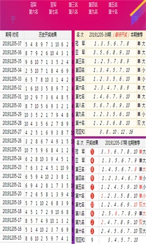 王中王四肖八码一F，揭秘背后的秘密与探索SEO优化策略，揭秘王中王四肖八码背后的秘密与SEO优化策略探索