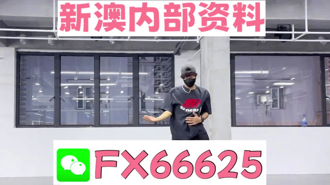 澳门管家婆100中，探索其背后的秘密与魅力，澳门管家婆背后的秘密与魅力探索