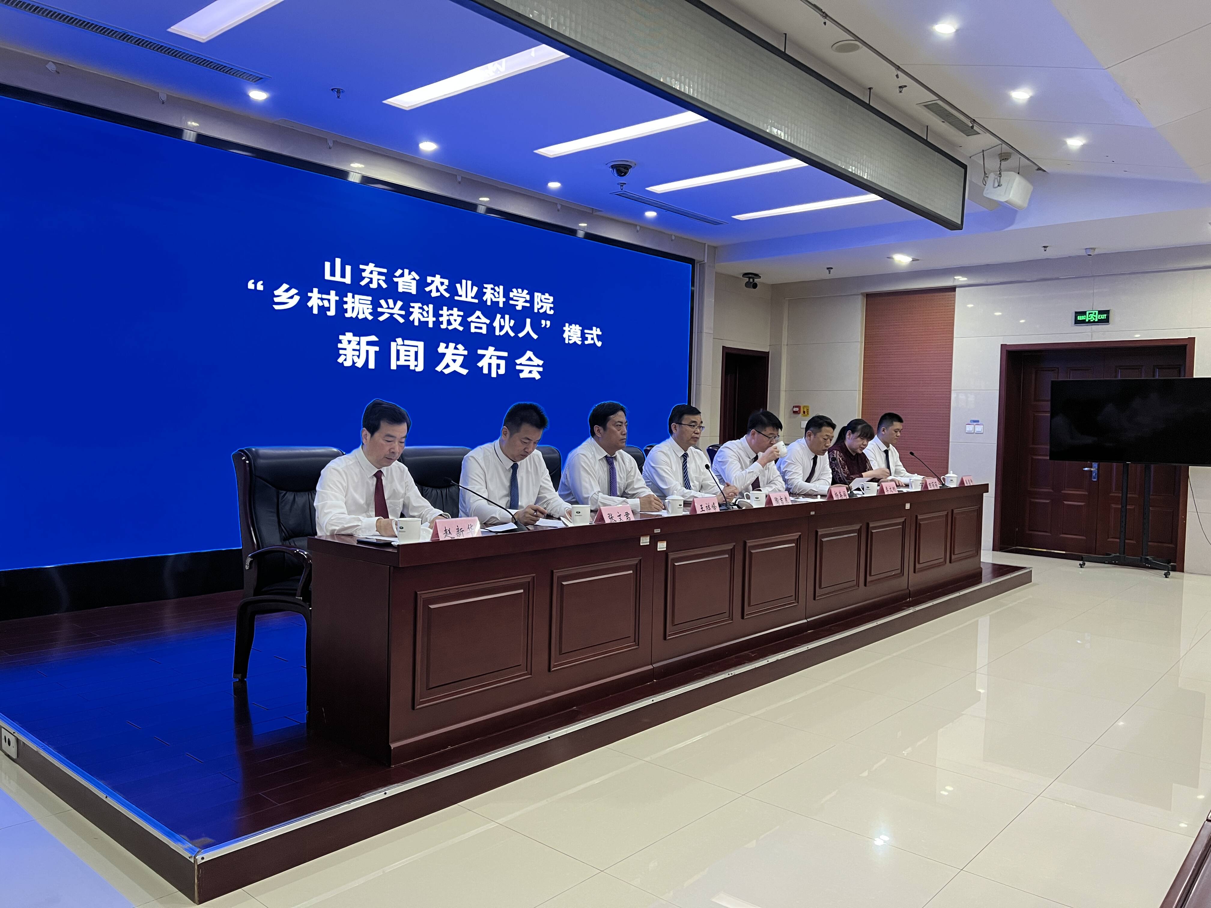 新奥门一码一肖，探索与解析，新奥门一码一肖，探索与深度解析