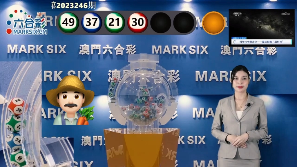 快速查询指南