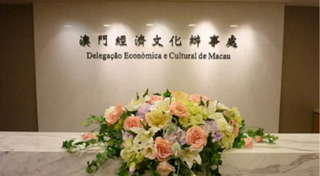 澳门一码一肖一待一中四不像，探索与解析，澳门一码一肖一待一中四不像，深度解析与探索