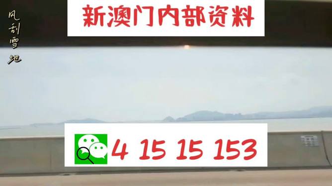 新澳门码精准资料，探索与解析，新澳门码精准资料深度解析与探索