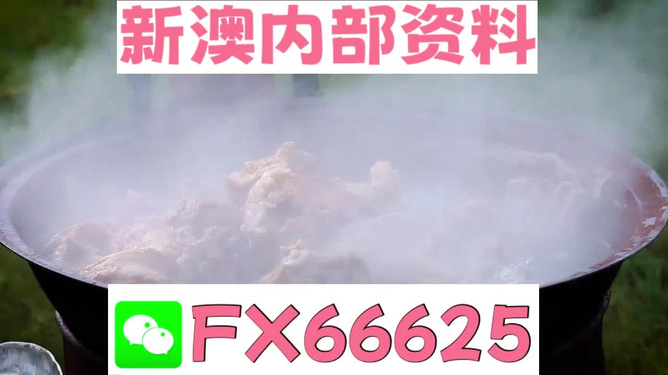 新澳全年免费资料大全，一站式获取优质资源指南，新澳全年优质资源免费获取指南