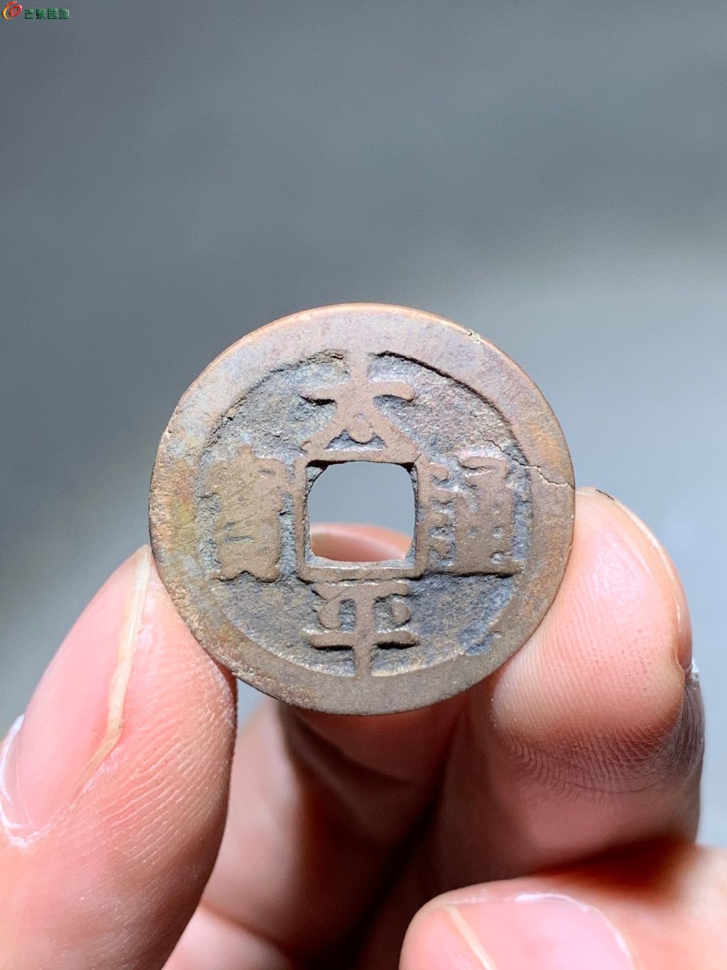 王中王平特一肖全年无错