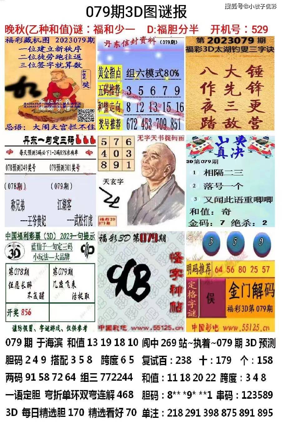 王中王的资料一肖中特期21O9中，揭示神秘面纱下的真相，揭秘王中王资料背后的真相，一肖中特期21O9揭晓神秘面纱