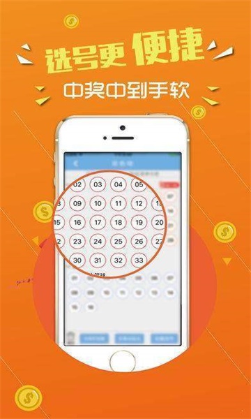 王中王高手一肖中特，揭秘SEO领域的顶尖技艺，揭秘SEO领域顶尖技艺，王中王高手一肖中特之道