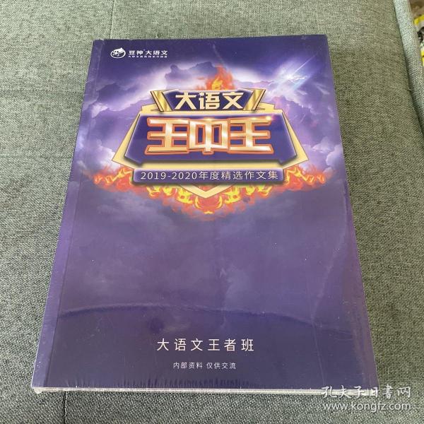 关于2019王中王平特一肖的探讨，关于王中王平特一肖的探讨与分析