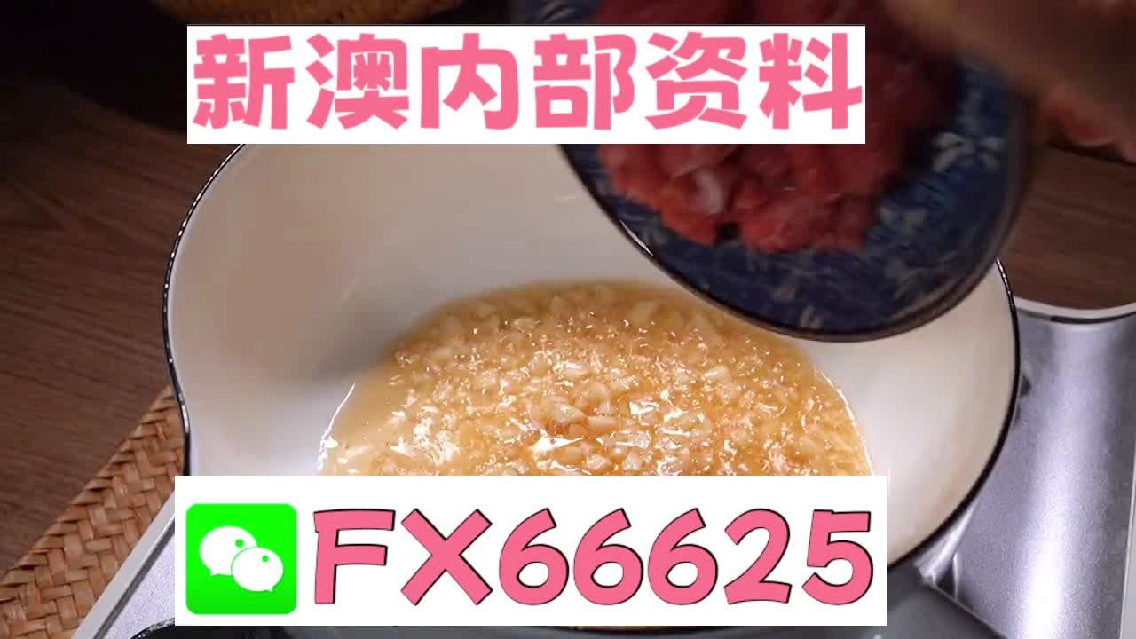 新澳门内部十码中特，探索与解析，澳门内部十码中特，深度探索与解析