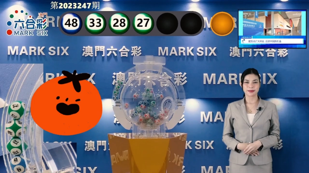 全新解析，2025年澳门王中王资料概览，澳门王中王资料概览，全新解析与未来展望（2025年）
