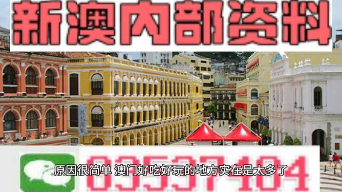 探索澳门钱庄，2025新澳免费资料概览，澳门钱庄深度探索，2025新澳免费资料全景概览