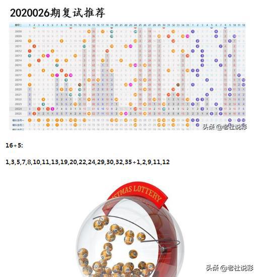 王中王026期指一生肖，深度解读与SEO优化策略，王中王026期生肖深度解读与SEO优化策略全解析