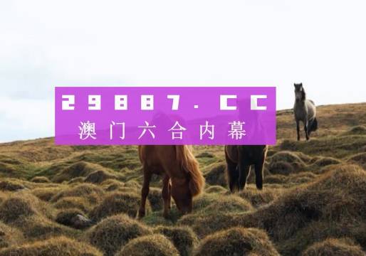 澳门最快开奖记录今晚，揭秘彩票背后的秘密，澳门最快开奖记录揭秘，今晚彩票背后的秘密大揭秘