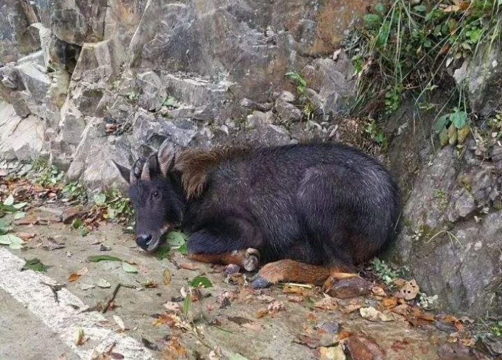 澳门 第9页