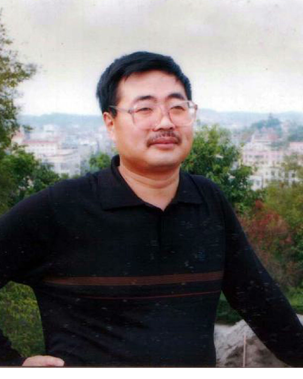 王中王平一肖中特，深度解析与SEO优化策略，王中王平一肖中特，深度解析与SEO优化策略全攻略