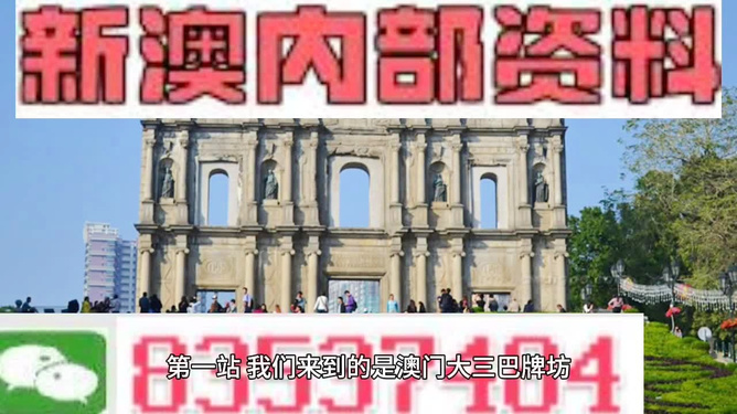 新澳门正版免费资料的查找方法与技巧，澳门正版免费资料查找攻略与技巧解析