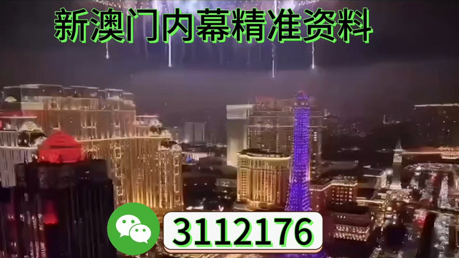 澳门今晚开，探索未来的机遇与挑战，澳门未来机遇与挑战的探索之夜
