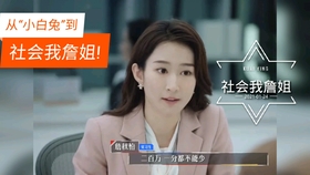 王中王白姐一肖王，揭秘背后的故事与SEO奥秘，揭秘王中王白姐一肖王的背后故事与SEO策略奥秘