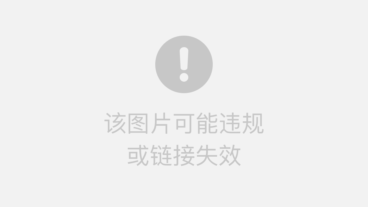 正版王中王一肖平码图，深度解析与探索，正版王中王一肖平码图深度解析与探索揭秘