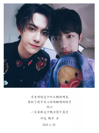 王中王一肖必中特，揭秘彩票背后的秘密与策略，揭秘彩票背后的秘密与策略，王中王一肖特码解析与中奖策略探讨