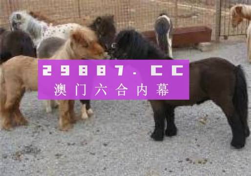 王中王金马论坛平特一肖，深度解析与探索，王中王金马论坛平特一肖深度解析与探索报告