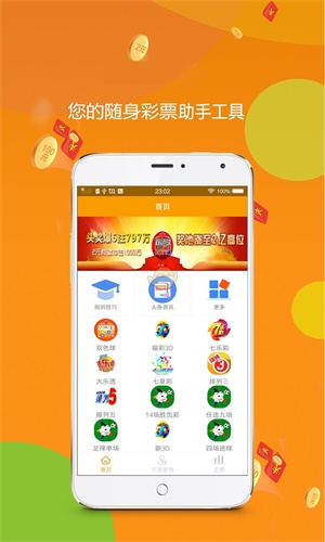 王中王四肖一碼，解密与探索，王中王四肖一碼，解密与探索之旅