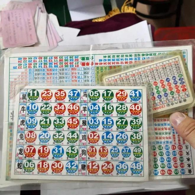 澳门凤凰四肖八码期期准，揭秘与探索，澳门凤凰四肖八码期期准，揭秘与探索之旅