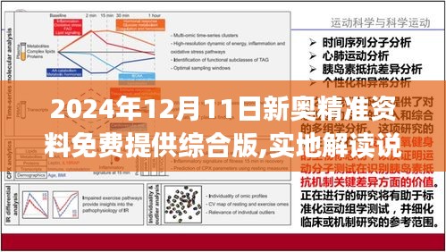 2025新奥精准资料免费大全078期——全方位获取优质资源的指南，2025新奥精准资料免费大全078期——全方位获取优质资源的宝典